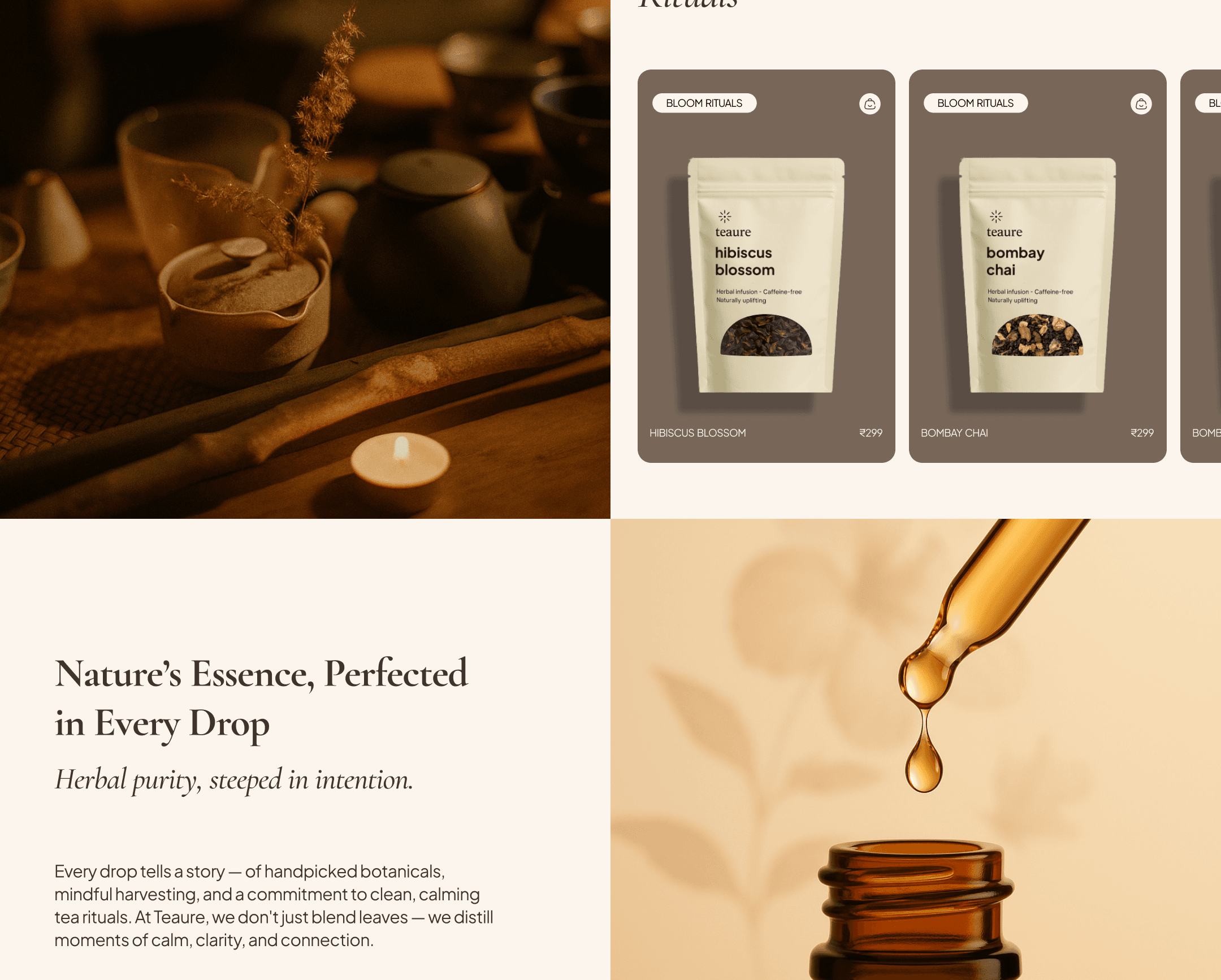 Teaure design system — interface component screen 2 of 3
